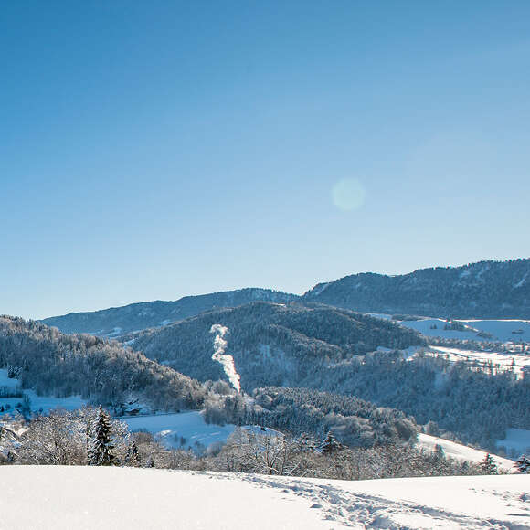 Schneelandschaft mit Bergen in Oberstaufen