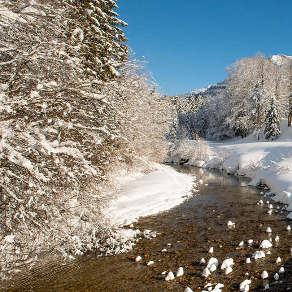 Verschneites Tal in Oberstaufen.