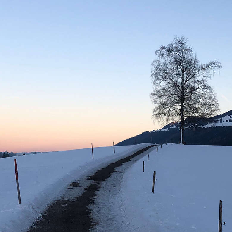 Natur im Winter um Thalkirchdorf bei Oberstaufen.
