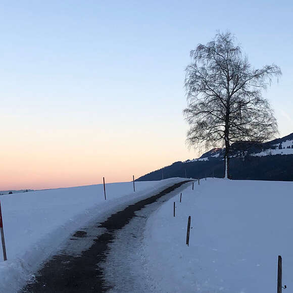 Geräumter Wanderweg im Winter zwischen Hündle und Thalkirchdorf.