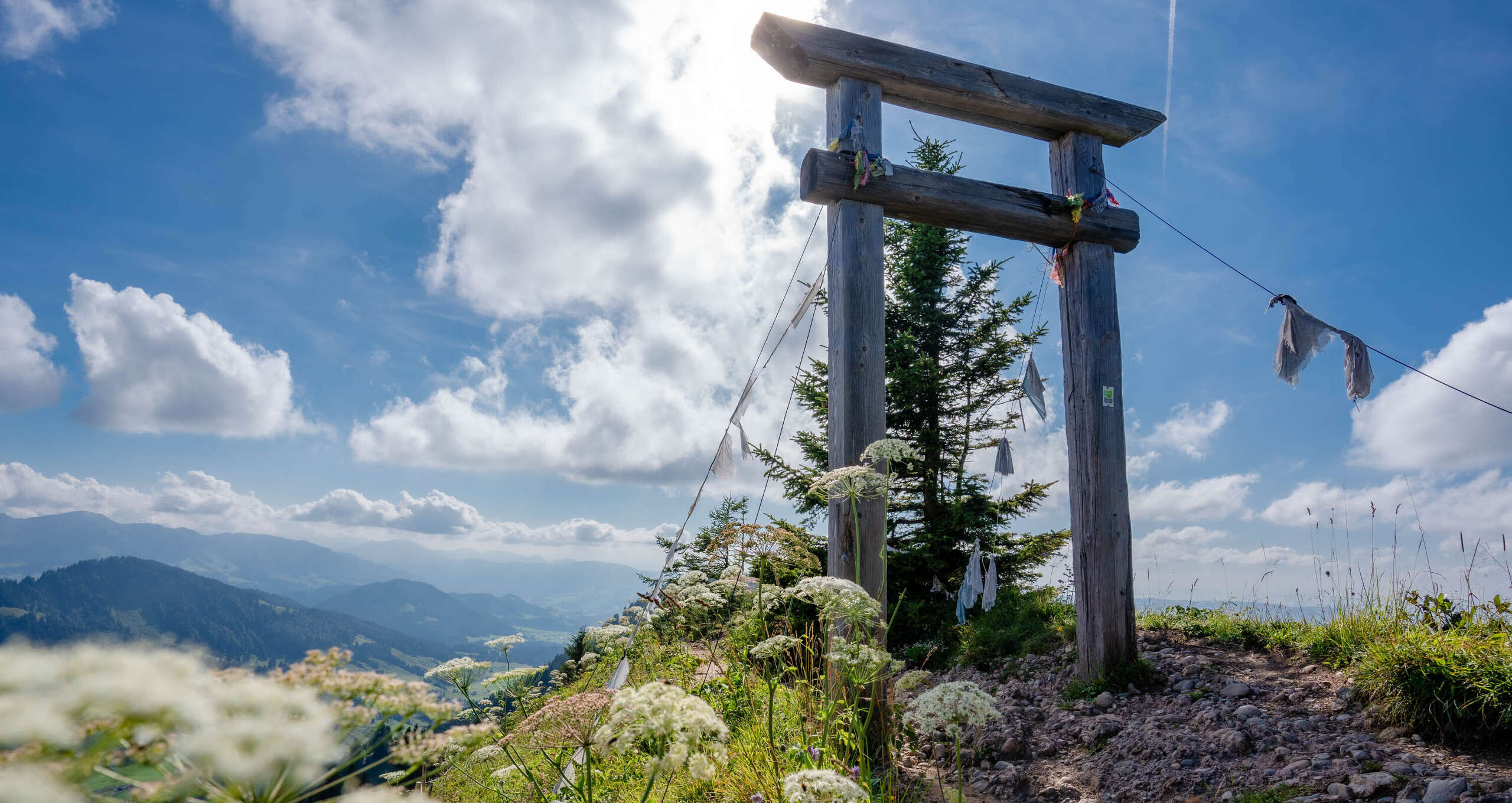 Die Porta Alpina am Hochgrat bei Steibis.