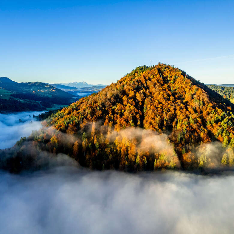 Der herbstliche Hausberg von Oberstaufen mit Sicht auf den Säntis.