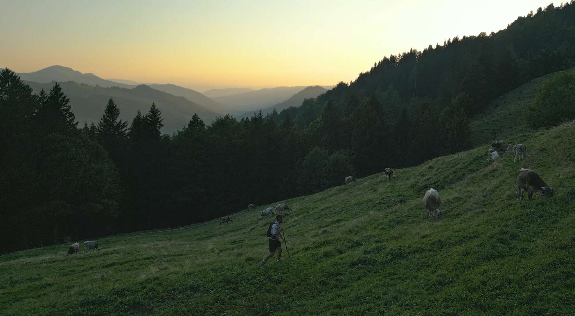 Sommer in den Allgäuer Bergen von Oberstaufen erleben