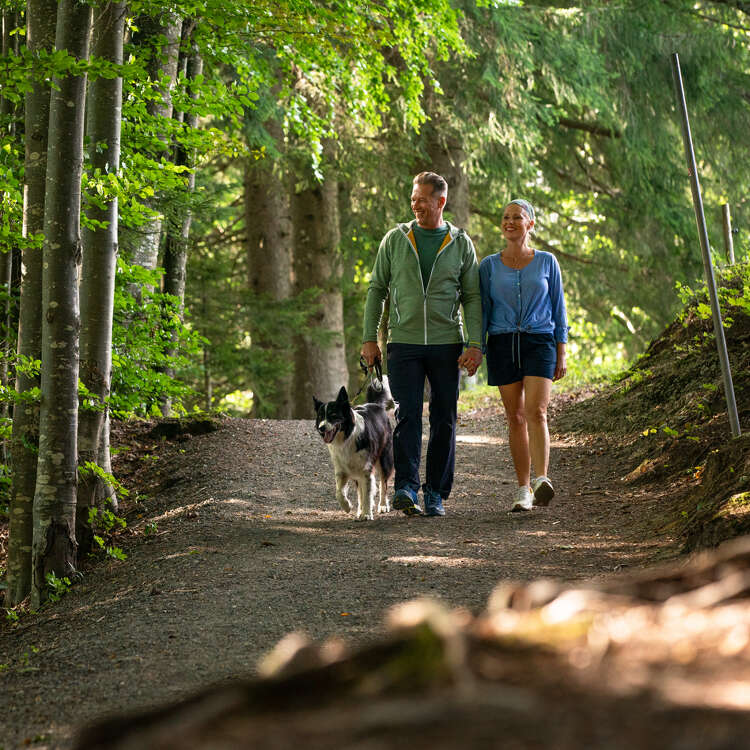 Paar wandert mit ihrem Hund durch den Rainwald in Oberstaufen