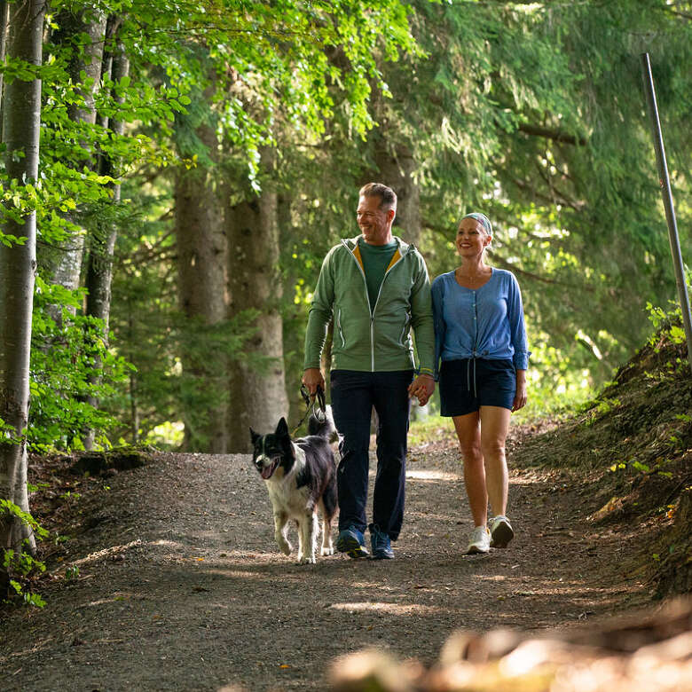 Wandern mit Hund auf den Wegen in Oberstaufen