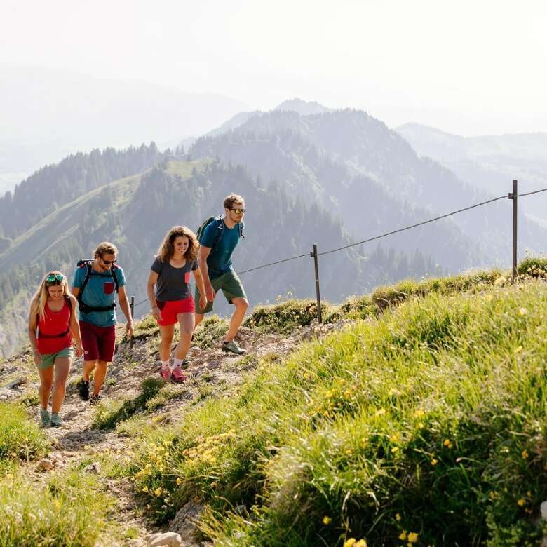 Eine Gruppe Wanderer in sommerlichen Outfits auf dem Wanderweg zum Hochgratgipfel.