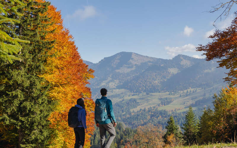 Wandern mit Blick auf die Nagelfluhkette bei Oberstaufen im Allgäu Wanderweg mit weitem Blick auf die markante Nagelfluhkette bei Oberstaufen im Allgäu, umgeben von herbstlichen Wäldern und Wiesen.