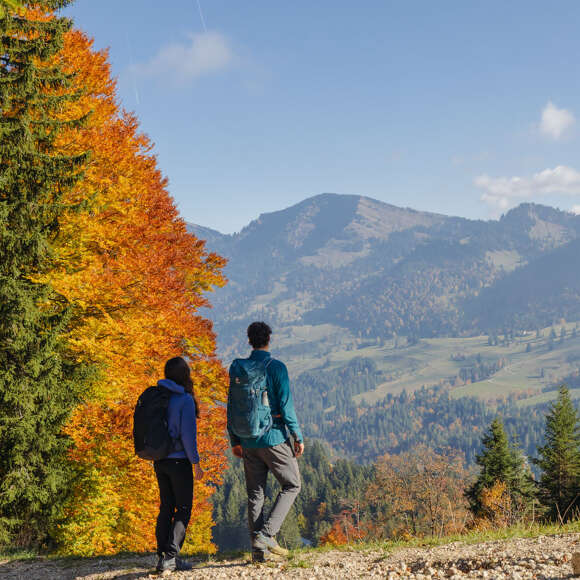 Wandern mit Blick auf die Nagelfluhkette bei Oberstaufen im Allgäu Wanderweg mit weitem Blick auf die markante Nagelfluhkette bei Oberstaufen im Allgäu, umgeben von herbstlichen Wäldern und Wiesen.