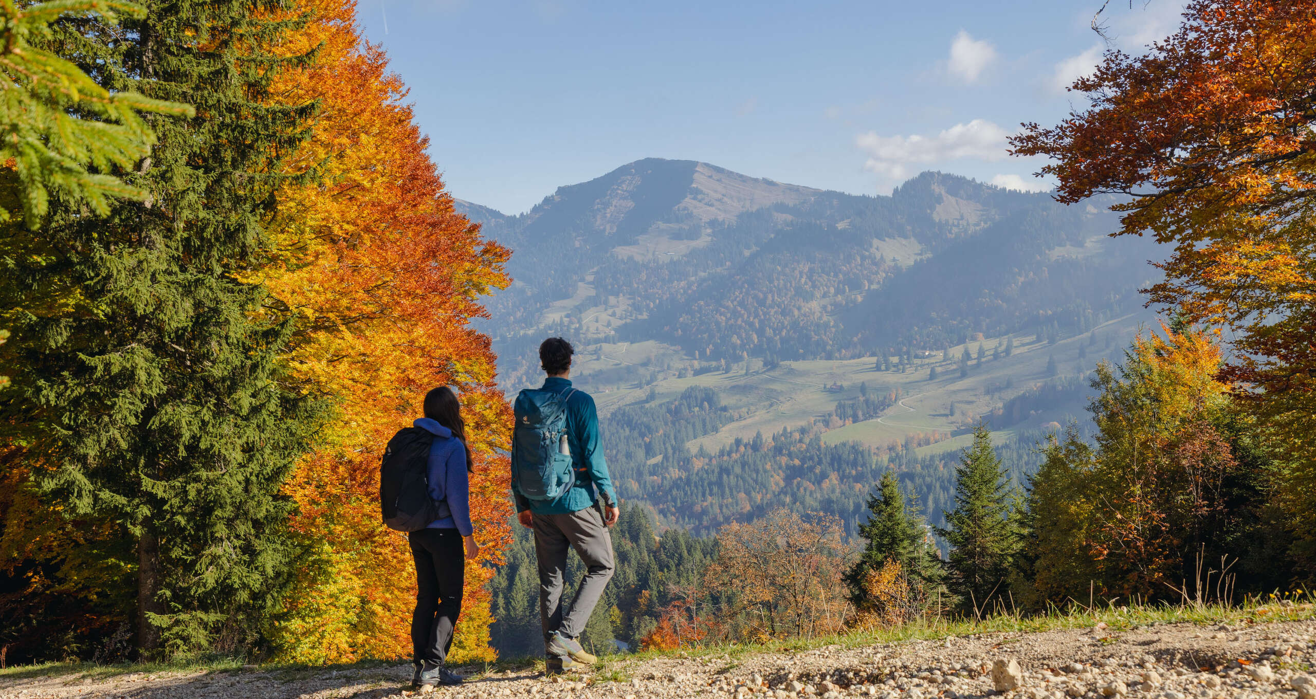 Wandern mit Blick auf die Nagelfluhkette bei Oberstaufen im Allgäu Wandern im goldenen Herbst am Kojenstein - Oberstaufen im Allgäu