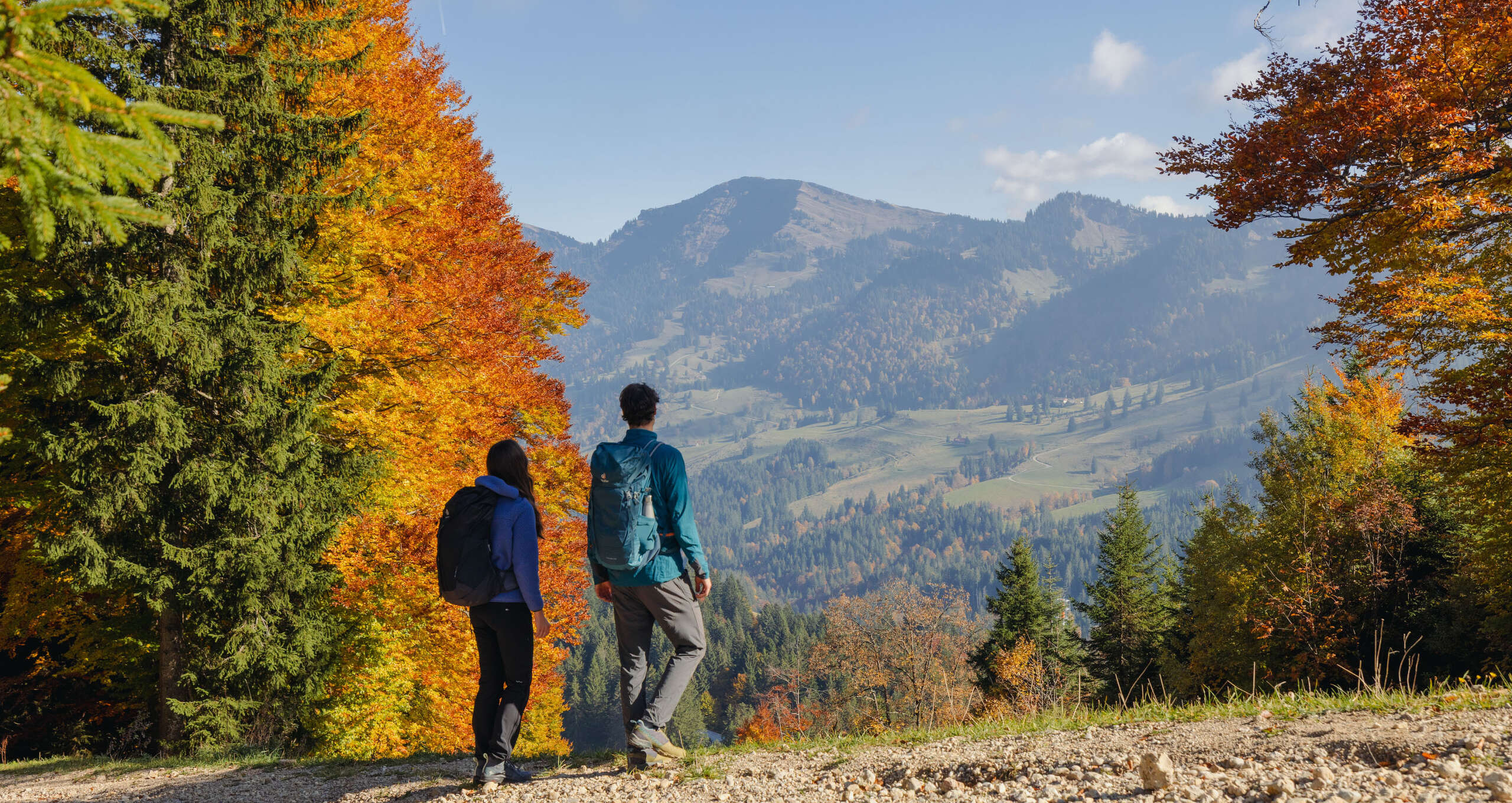Wandern mit Blick auf die Nagelfluhkette bei Oberstaufen im Allgäu Wanderweg mit weitem Blick auf die markante Nagelfluhkette bei Oberstaufen im Allgäu, umgeben von herbstlichen Wäldern und Wiesen.