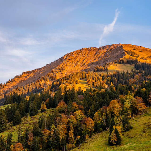 Wanderungen im Herbst in Oberstaufen