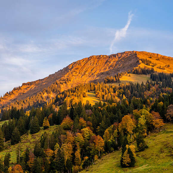 Hochgrat im Licht der Abendsonne