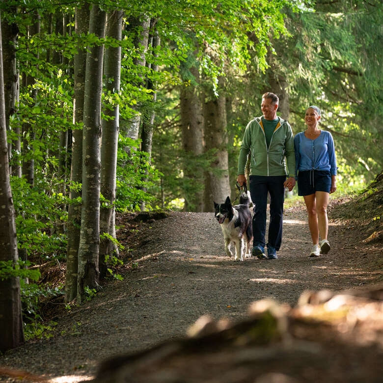 Paar geht mit Hund durch den Wald im Allgäu spazieren.