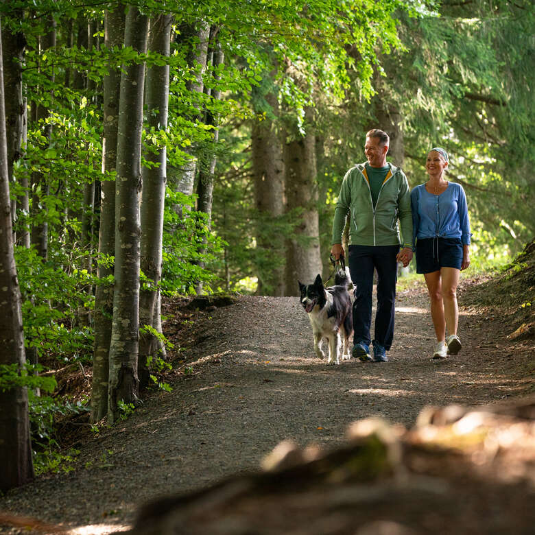 Spaziergang im Rainwald bei Oberstaufen im Sommer