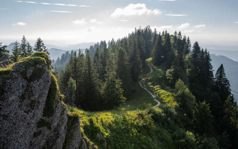 Unterwegs auf den Wanderwegen in den Bergen von Oberstaufen