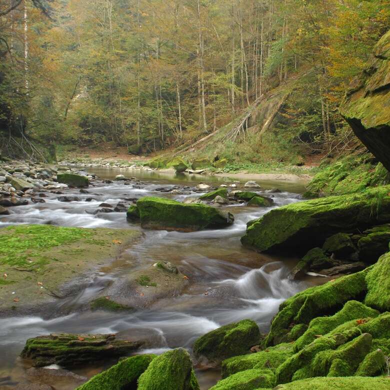 Bergbach mit moosigen Felsen.