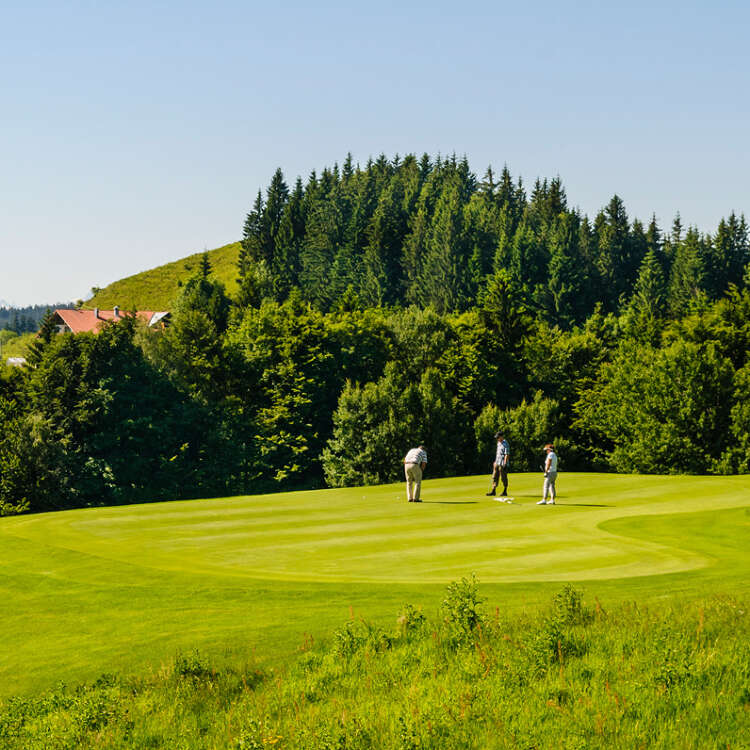 Golfer beim Abschlagen auf dem Golfclub Waldegg-Wiggensbach