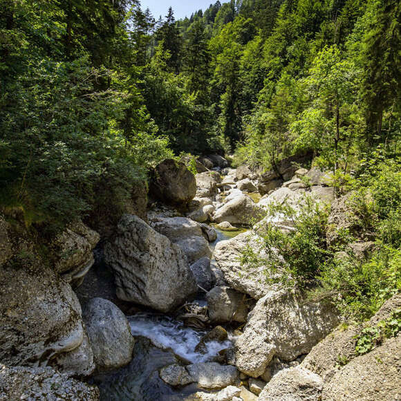 Fluss Weißach bahnt sich seinen Weg durch das Nagelfluhgestein