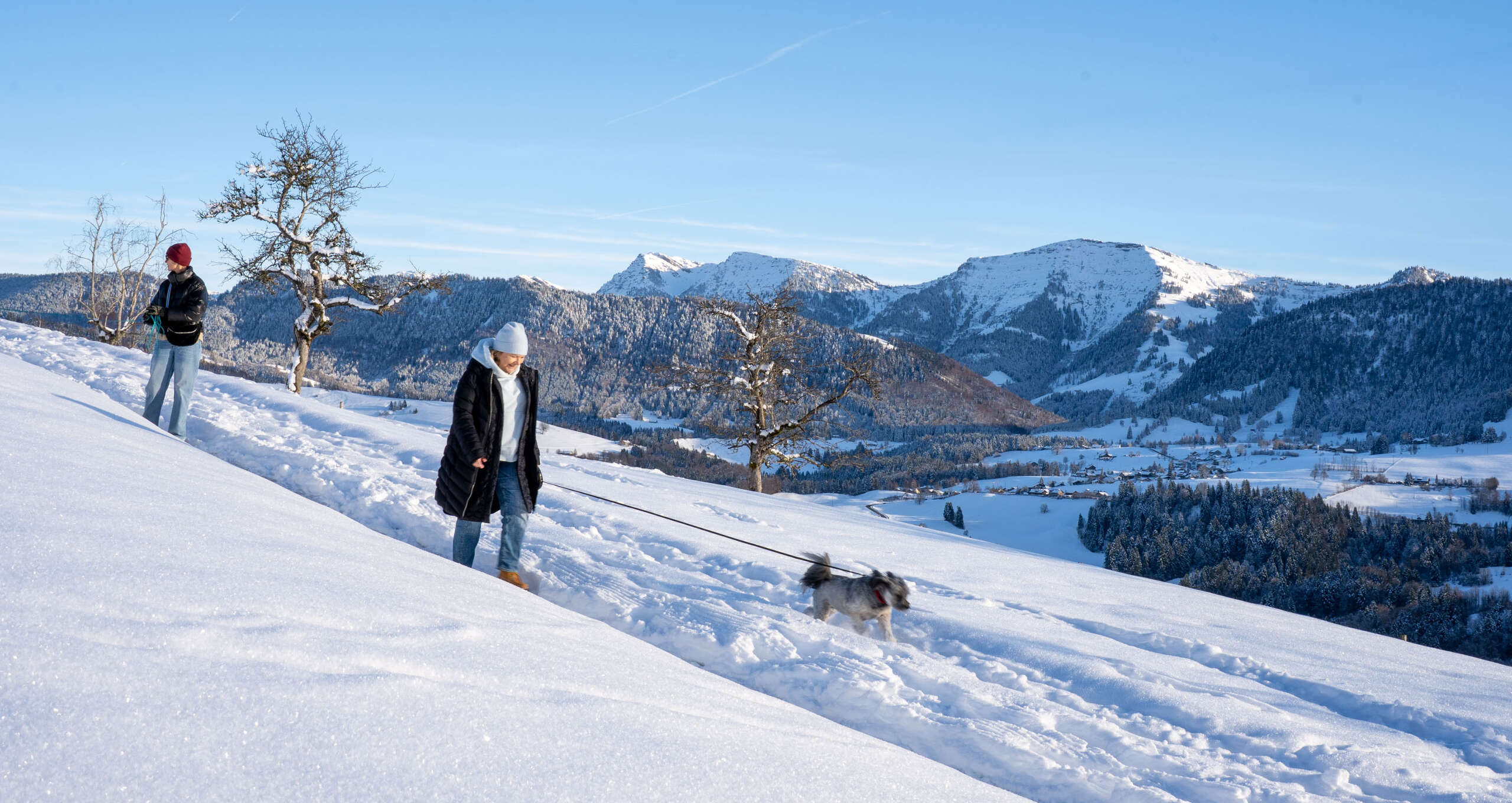 Gassi gehen mit Bergpanorama Zwei Frauen wandern am Kapf mit Hunden.