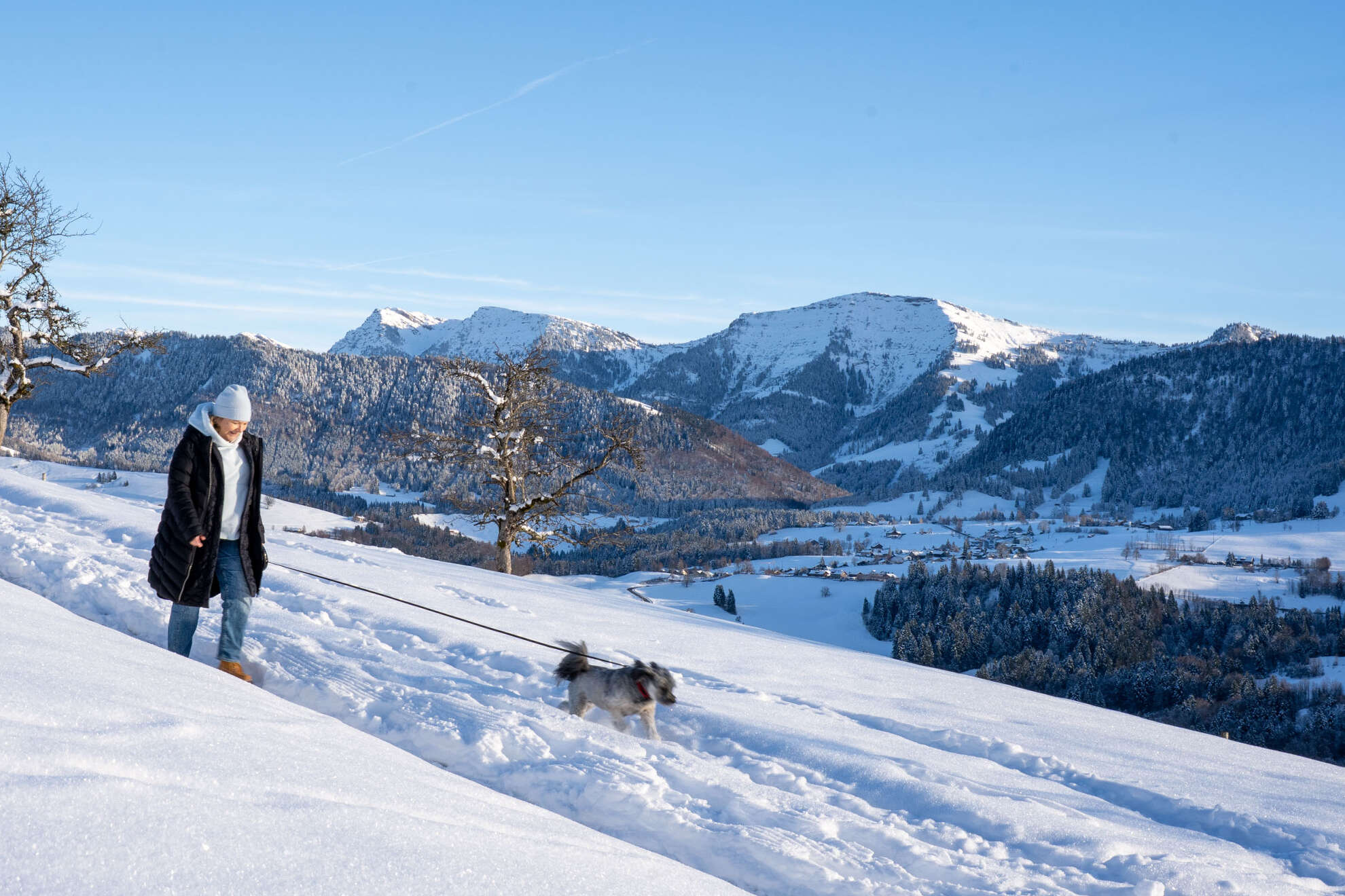 Zwei Frauen wandern am Kapf mit Hunden.