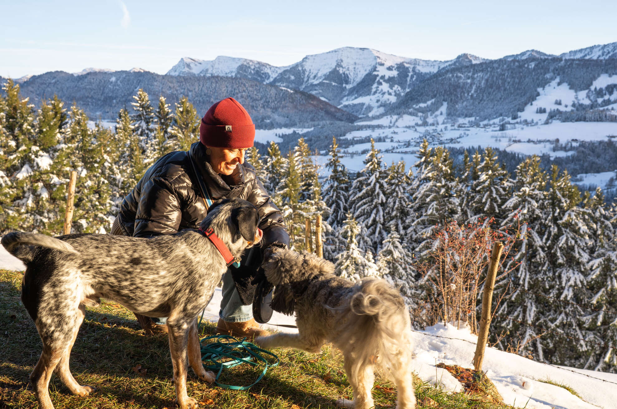 Gassi gehen mit Bergpanorama Eine Frau sitzt mit zwei Hunden vor dem Ausblick auf die Nagelfluhkette.
