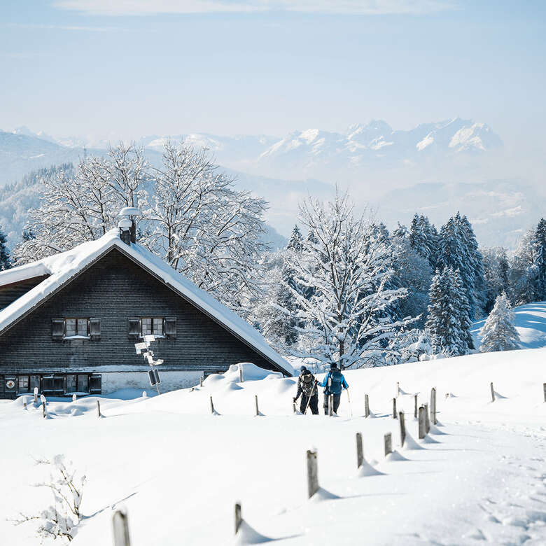 Schneeschuhwandern in der verschneiten Natur von Obstaufen mit Weitblick in die Schweizer Alpen.