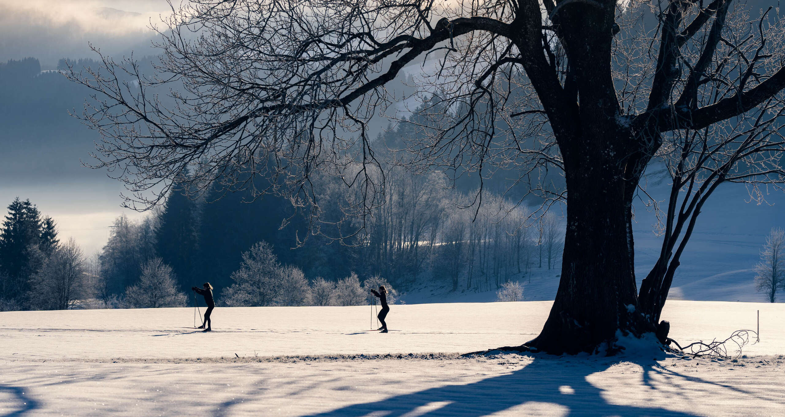 Zwei Menschen laufen Langlaufen.