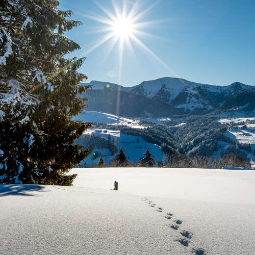 Sonnenschein über dem verschneiten Hochgrat und der Schneelandschaft.