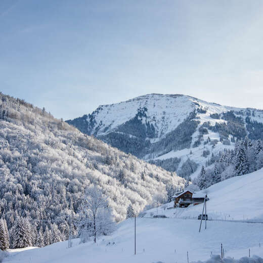 Blick auf den verschneiten Hochgrat in weißer Natur.