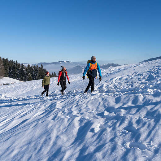 Winterwandern über die verschneiten Wiesen bei Oberstaufen in der Wintersonne.