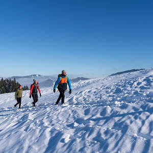 Winterwandern über die verschneiten Wiesen bei Oberstaufen in der Wintersonne.