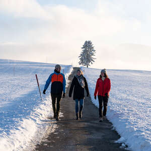 Auf dem Winterwanderweg nach Buflings in der verschneiten Natur von Oberstaufen