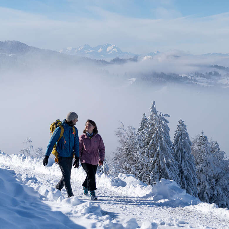 Winterwanderung am Hündle mit Panoramablick über die verschneite Natur von Oberstaufen bis zum Säntis