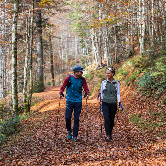 Zwei Wanderer im bunten Herbstwald auf einem ruhigen Waldweg.