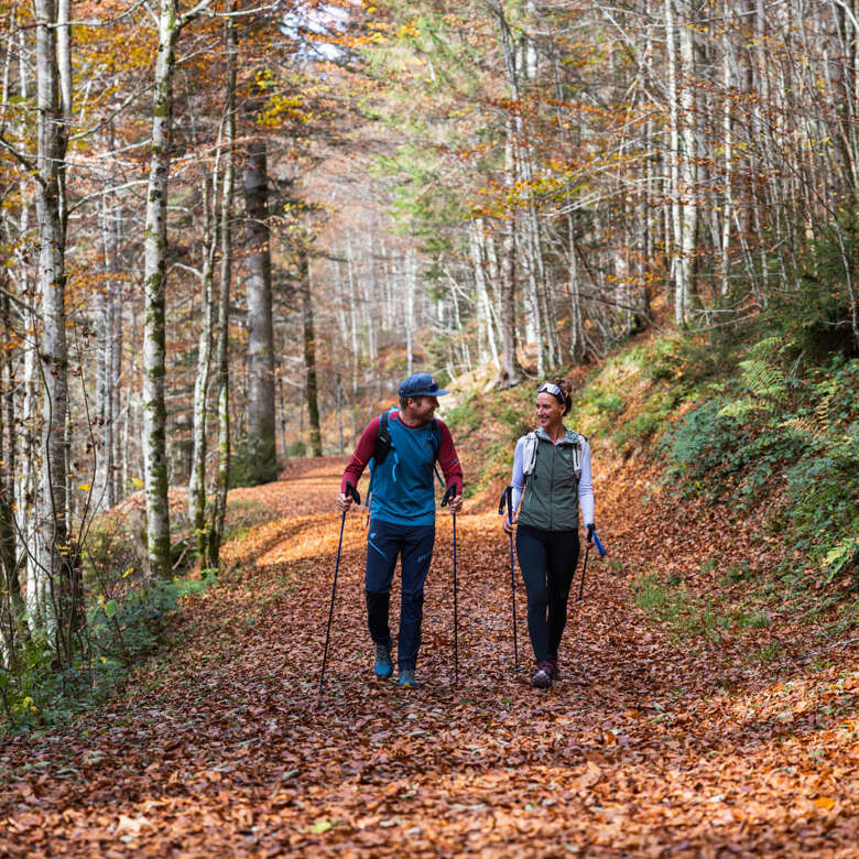 Herbstwandern im Allgäu Zwei Wanderer im bunten Herbstwald auf einem ruhigen Waldweg.